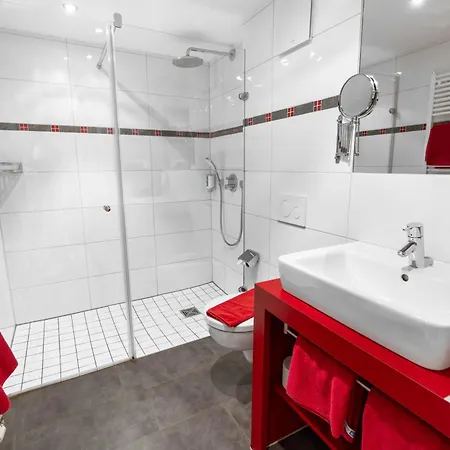 Hotel-restaurant Schwanen 3* Weil am Rhein