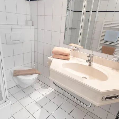 Hotel-restaurant Schwanen Hotel 3*