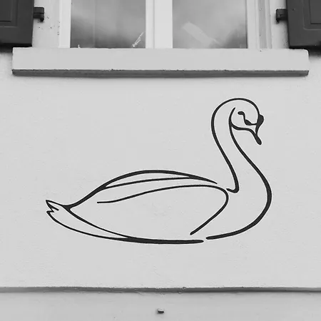 Hotel Hotel-restaurant Schwanen