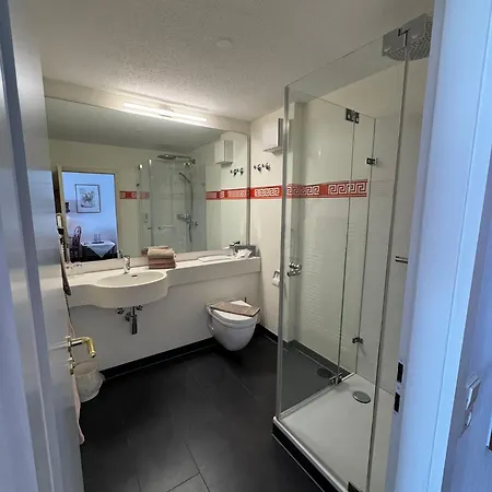 Hotel Hotel-restaurant Schwanen 3*