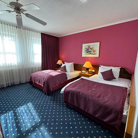 Hotel Hotel-restaurant Schwanen 3*