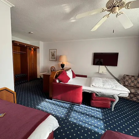 Hotel-restaurant Schwanen Hotel
