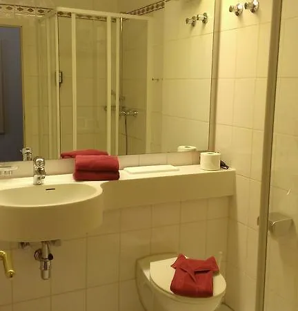 Hotel-restaurant Schwanen Hotel