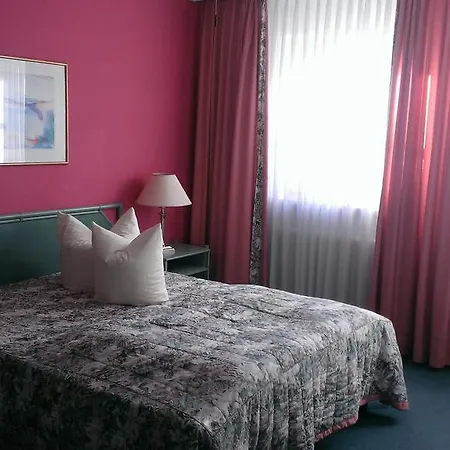 Hotel-restaurant Schwanen 3* Weil am Rhein