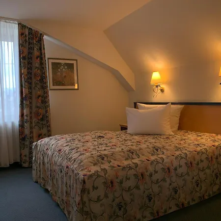 Hotel-restaurant Schwanen