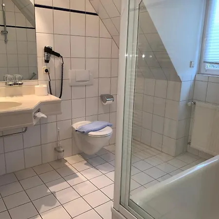 Hotel-restaurant Schwanen